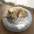 Comfortable Dog Bed